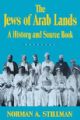 99977 The Jews of Arab Lands: A History and Source Book